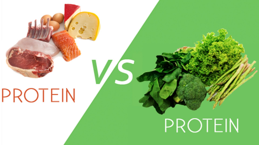The Protein Puzzle: Quality vs. Source